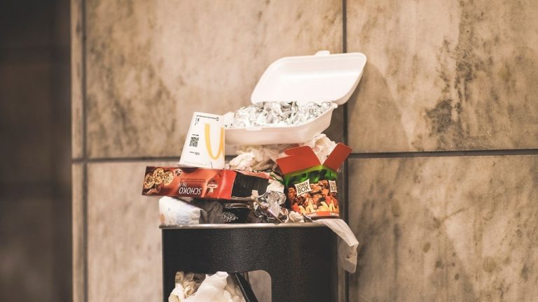 Food Trainer, l'app contro il cibo spazzatura